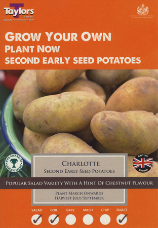 10 CHARLOTTE SEED POTATOES