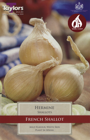 10 HERMINE FRENCH SHALLOTS