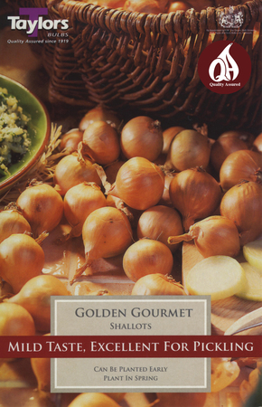 12 GOLDEN GOURMET SHALLOTS