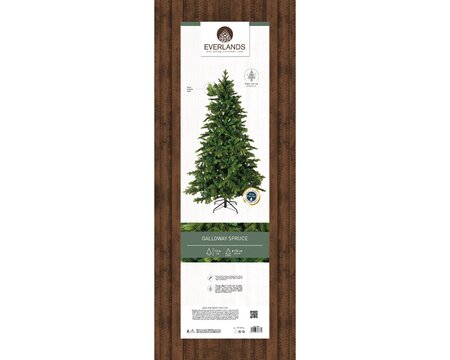 180CM GALLOWAY SPRUCE - image 3