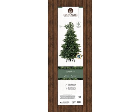 180CM GENEVA FIR - image 3