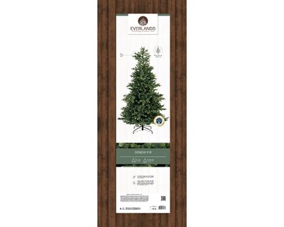 210CM GENEVA FIR - image 3