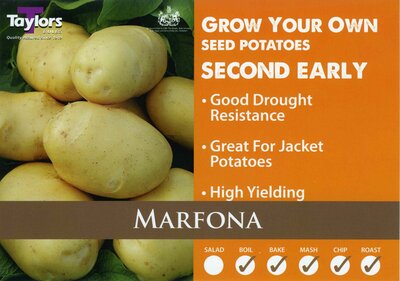 2KG SEED POTATO BAG - MARFONA