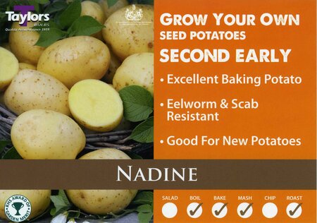 2KG SEED POTATO BAG - NADINE