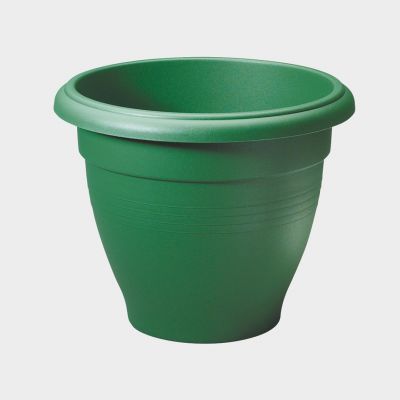 30CM PALLADIAN GREEN