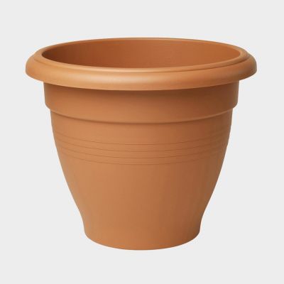 50CM PALLADIAN TERRACOTTA