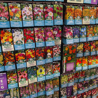 Bulbs and Seeds