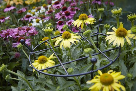 COTTAGE GARDEN GROW THRU LARGE - image 1