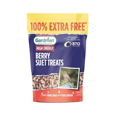 GARDMAN BERRY SUET TREATS 1KG