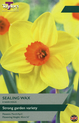NARCISSI SEALING WAX