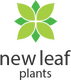 New Leaf Plants Ltd