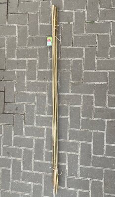 12 GARDEN CANES - 150CM - image 2