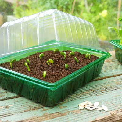 VISIROOT HALF SEED TRAYS - 8PK