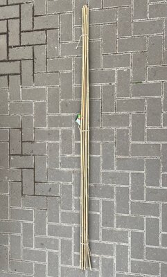 10 GARDEN CANES - 180CM - image 2