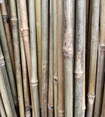 18 GARDEN CANES - 90CM - image 1