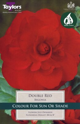 BEGONIA RED DOUBLE