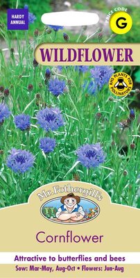 CORNFLOWER
