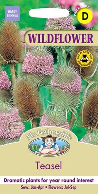 TEASEL