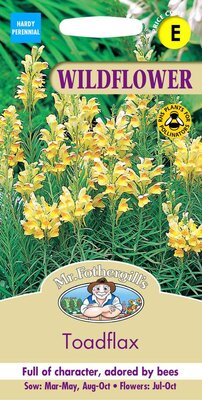 TOADFLAX