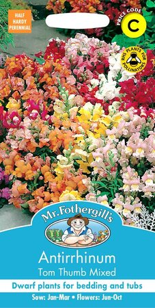 ANTIRRHINUM TOM THUMB MIXED