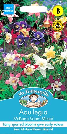 AQUILEGIA MCKANA GIANT MIXED