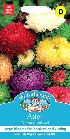 ASTER DUCHESS MIXED