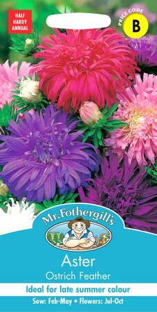 ASTER OSTRICH FEATHER