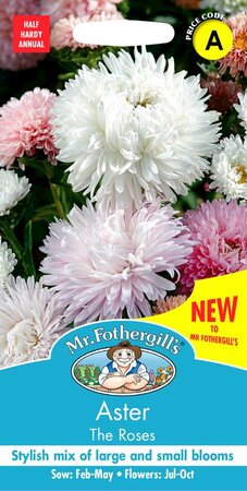 ASTER THE ROSES