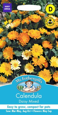 CALENDULA DAISY MIXED