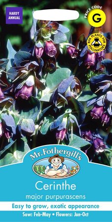 CERINTHE MAJOR PURPURASCENS