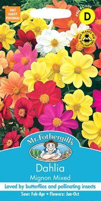 DAHLIA MIGNON MIXED
