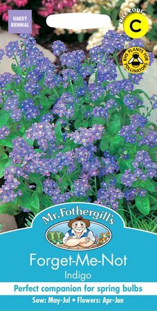 FORGET ME NOT INDIGO