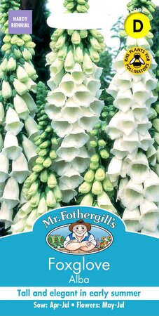 FOXGLOVE ALBA