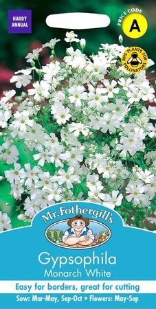 GYPSOPHILA MONARCH WHITE