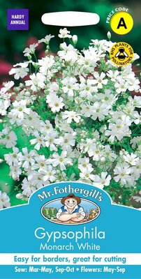 GYPSOPHILA MONARCH WHITE