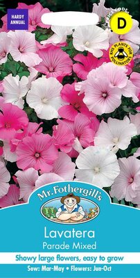 LAVATERA PARADE MIXED