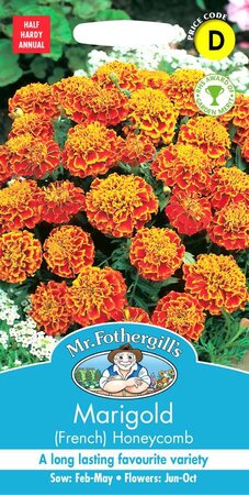MARIGOLD (FRENCH) HONEYCOMB
