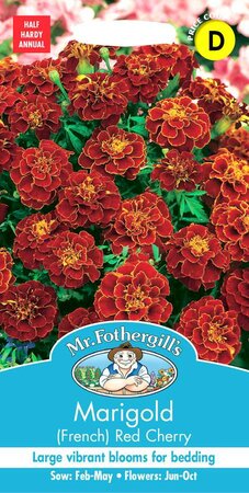 MARIGOLD (FRENCH) RED CHERRY