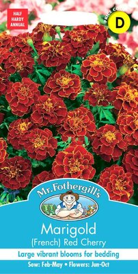 MARIGOLD (FRENCH) RED CHERRY