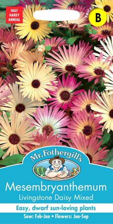 MESEMBRYANTHEMUM LIVINGSTONE DAISY MIXED