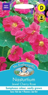 NASTURTIUM JEWEL CHERRY ROSE