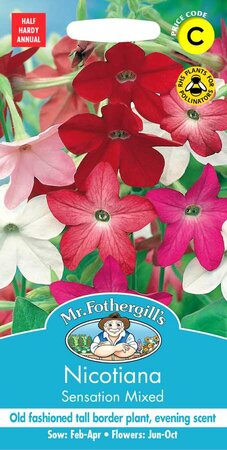 NICOTIANA SENSATION MIXED