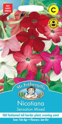 NICOTIANA SENSATION MIXED