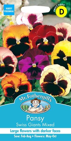 PANSY SWISS GIANTS MIXED