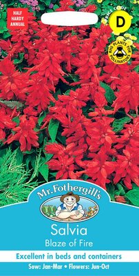 SALVIA BLAZE OF FIRE