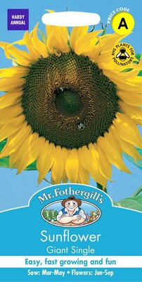 SUNFLOWER GIANT SINGLE