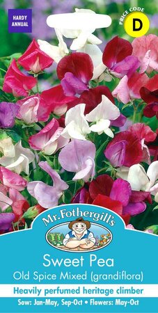 SWEET PEA OLD SPICE MIXED (GRANDIFLORA)