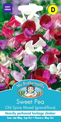 SWEET PEA OLD SPICE MIXED (GRANDIFLORA)