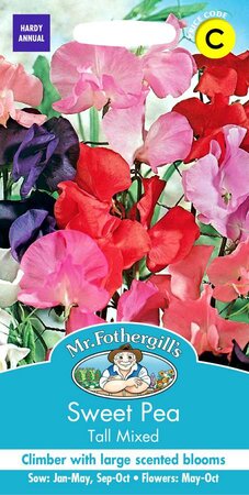 SWEET PEA TALL MIXED