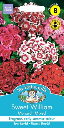 SWEET WILLIAM MONARCH MIXED